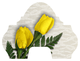 DARAY-L-059 2 Roses Yellow